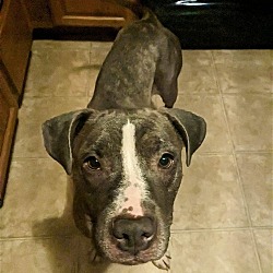 Photo of Manda