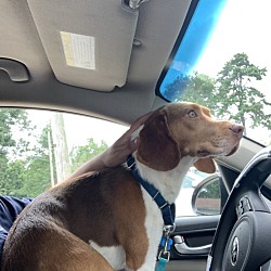 Photo of Ike