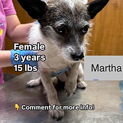 Thumbnail photo of Martha #2