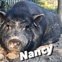 Photo of Nancy