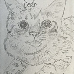Thumbnail photo of Dash #4