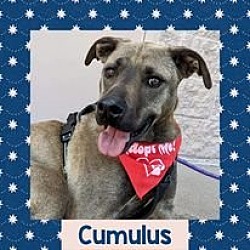 Photo of Cumulus