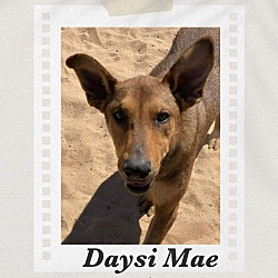 Photo of Daysi Mae