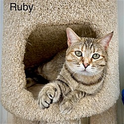 Photo of Ruby