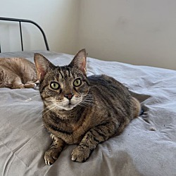 Photo of Frankie