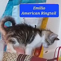 Photo of Emilio