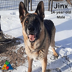 Thumbnail photo of Jinx #2