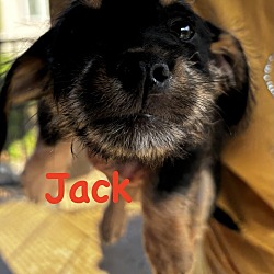 Photo of Jodie-Jack