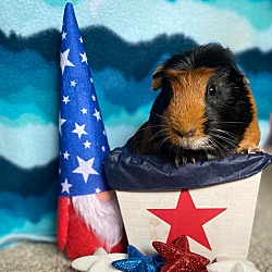 Photo of Jedrick