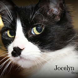 Thumbnail photo of Jocelyn #1