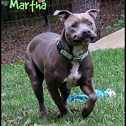 Thumbnail photo of Martha #4