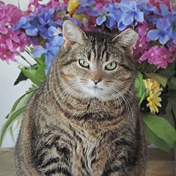Photo of Lucille