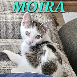 Thumbnail photo of Moira #1