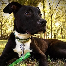 Photo of Valerie