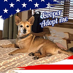 Thumbnail photo of Cooper #2