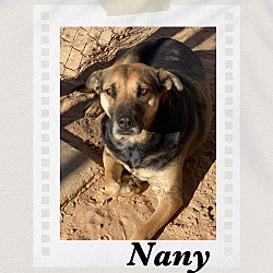 Photo of Nany