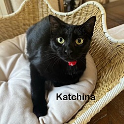 Thumbnail photo of Kachina #1