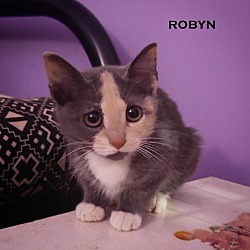 Thumbnail photo of Robyn #1