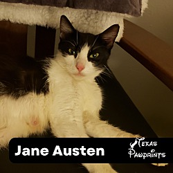Thumbnail photo of Jane Austen #4