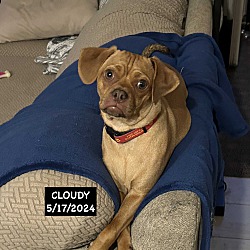 Photo of Cloudy