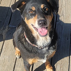 Photo of Dutchess