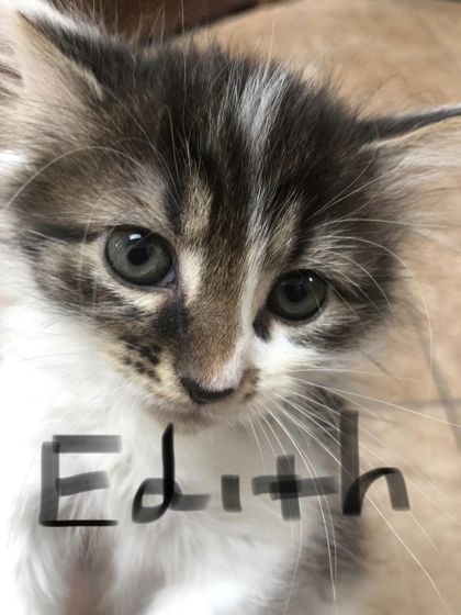 Photo of Edith