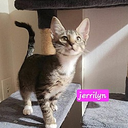 Thumbnail photo of Jerrilyn #3