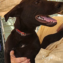 Thumbnail photo of Jorge #2