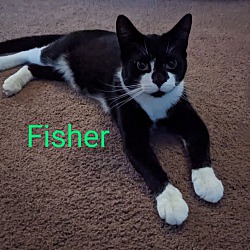 Thumbnail photo of Fisher #2
