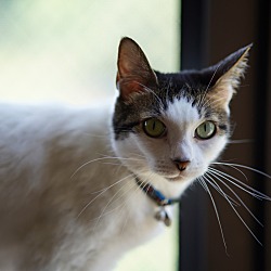 Photo of Mio