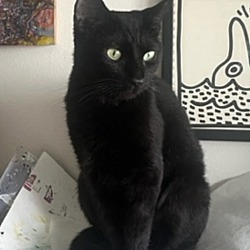 Photo of Elvira