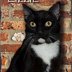 Thumbnail photo of Lizzie #4