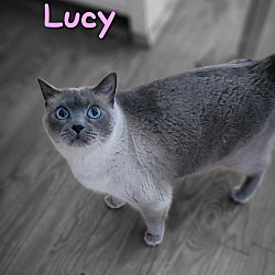 Photo of Lucy