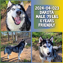 Photo of 2024-04-023 *Dakota*