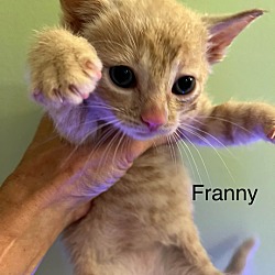 Thumbnail photo of Frannie #2