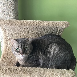 Photo of Ella