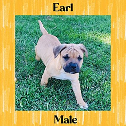 Thumbnail photo of Earl #2