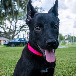 Photo of Rapto