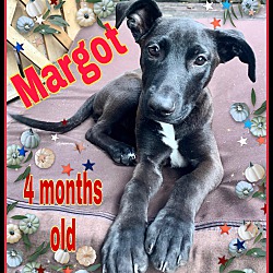 Photo of margot