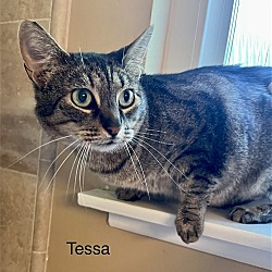 Thumbnail photo of Tessa #4