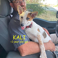 Photo of KALI