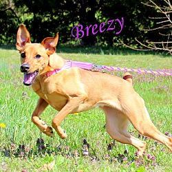 Thumbnail photo of Breezy ~ meet me! #3