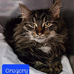 Photo of Gregory