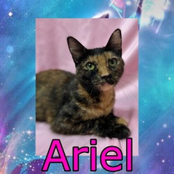 Photo of Ariel ("Luna")
