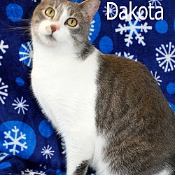 Thumbnail photo of Dakota #2