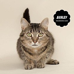 Photo of ASHLEY