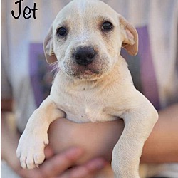 Photo of Jet meet 7/12