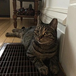 Thumbnail photo of Della #4