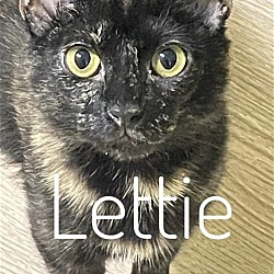 Photo of Lettie