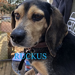 Photo of RUCKUS
